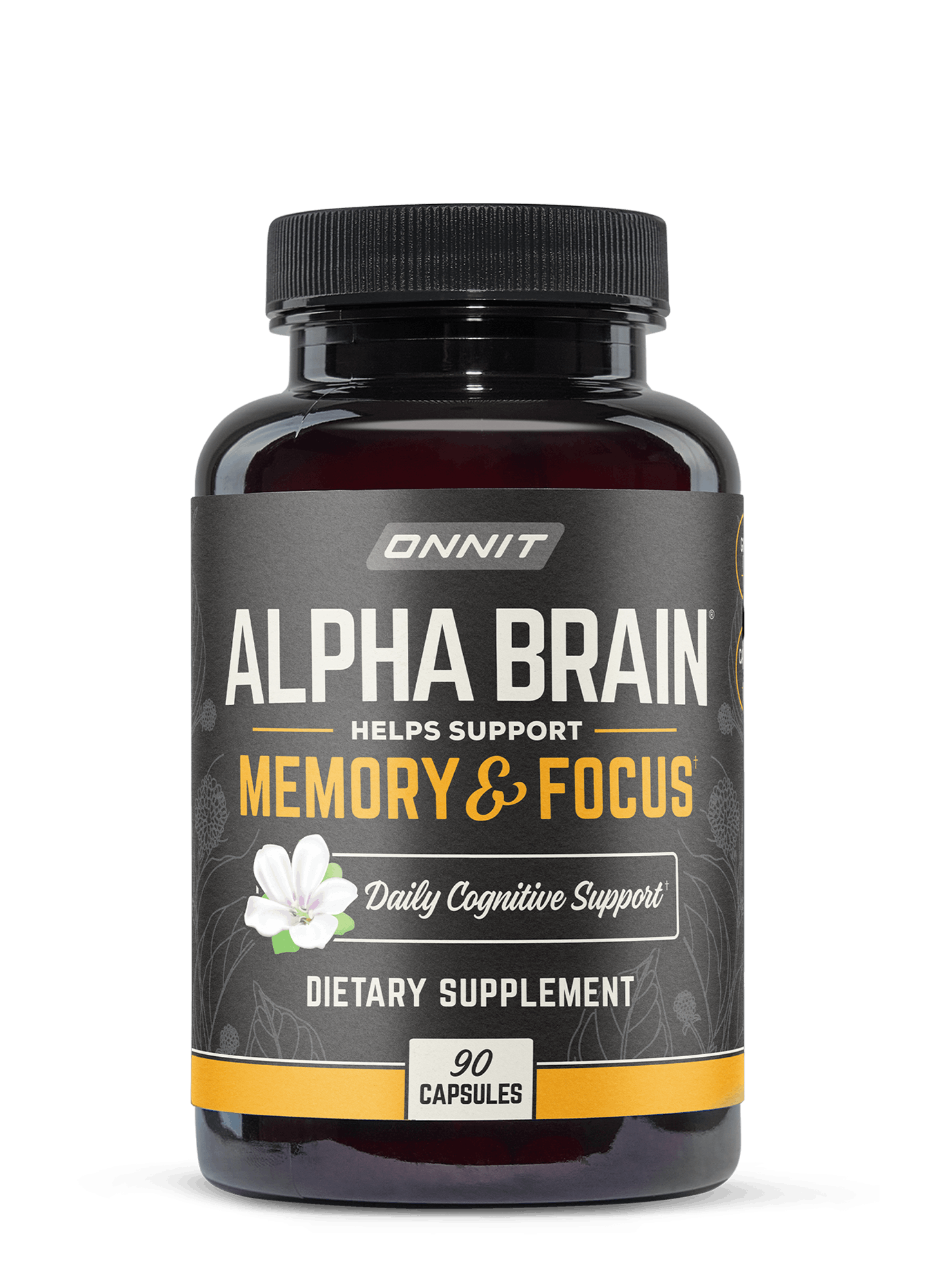 onnit alpha brain
