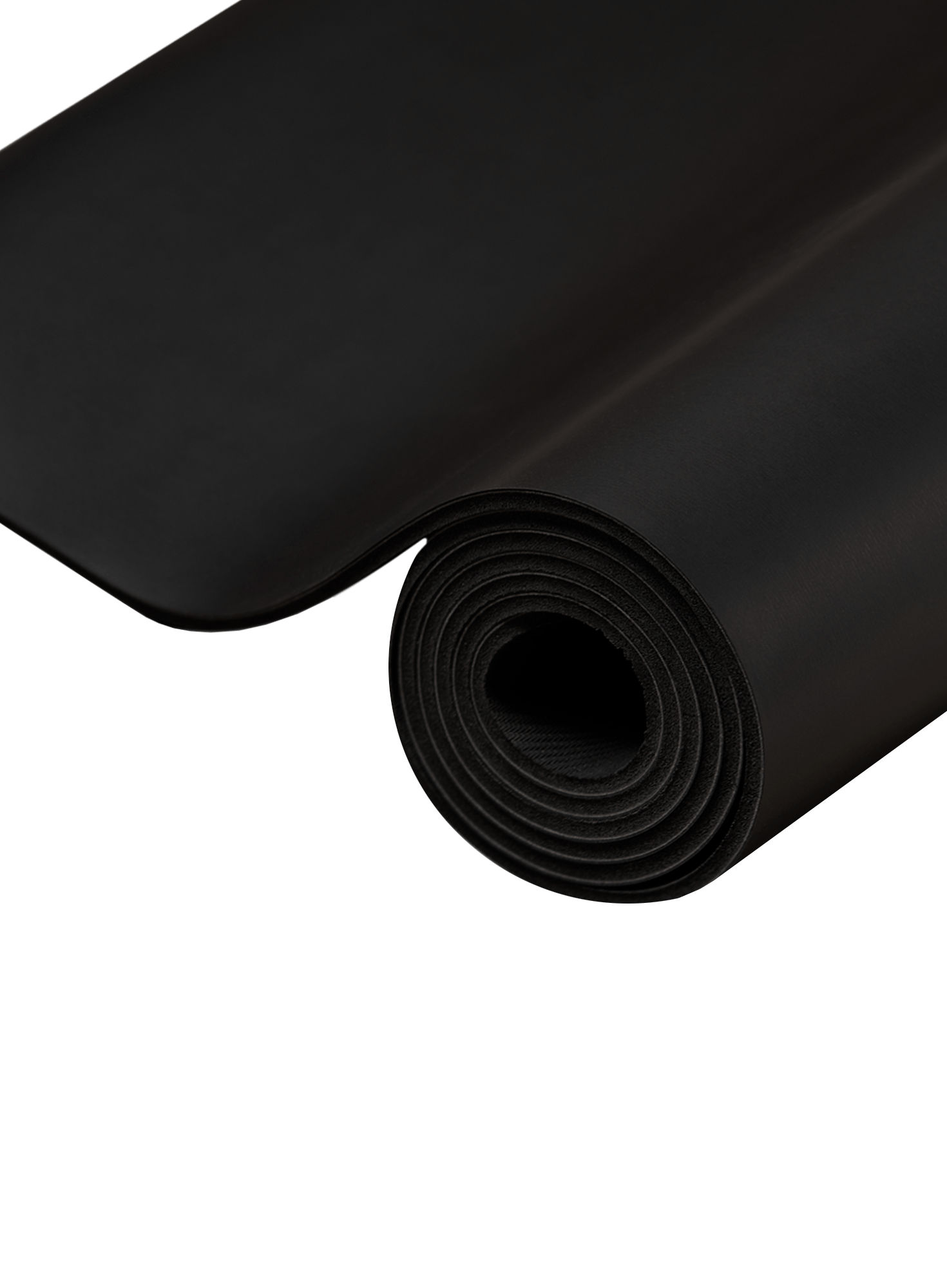 sports authority exercise mat